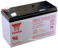 Аккумуляторная батарея Yuasa NPW45-12 